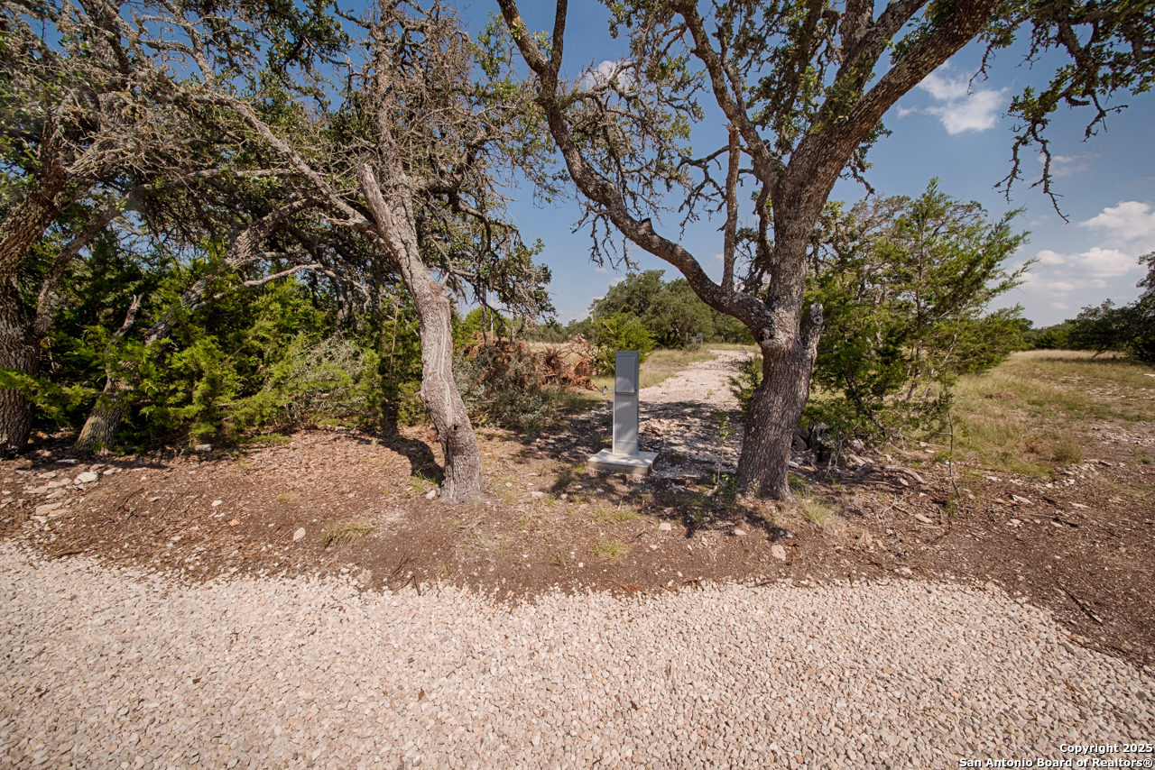 1303 Taurus Ln Junction Junction, TX 76849 - Photo 33 of 38 a view of a yard with a tree