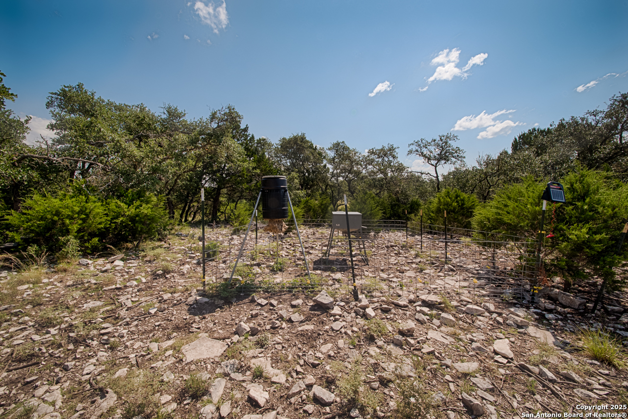 1303 Taurus Ln Junction Junction, TX 76849 - Photo 34 of 38 a view of a forest filled with trees
