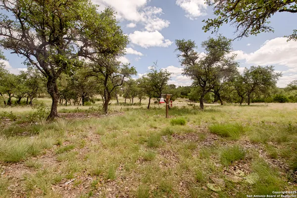 a view of outdoor space with trees