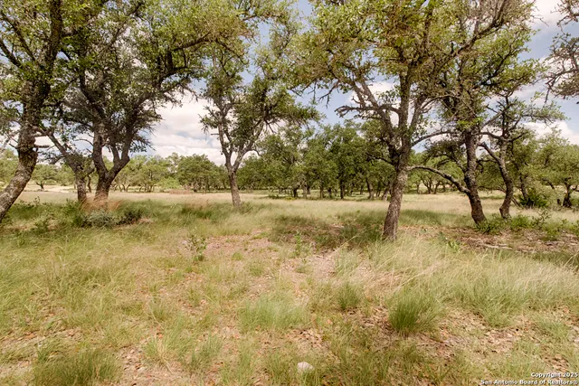 a view of dirt yard with a tree