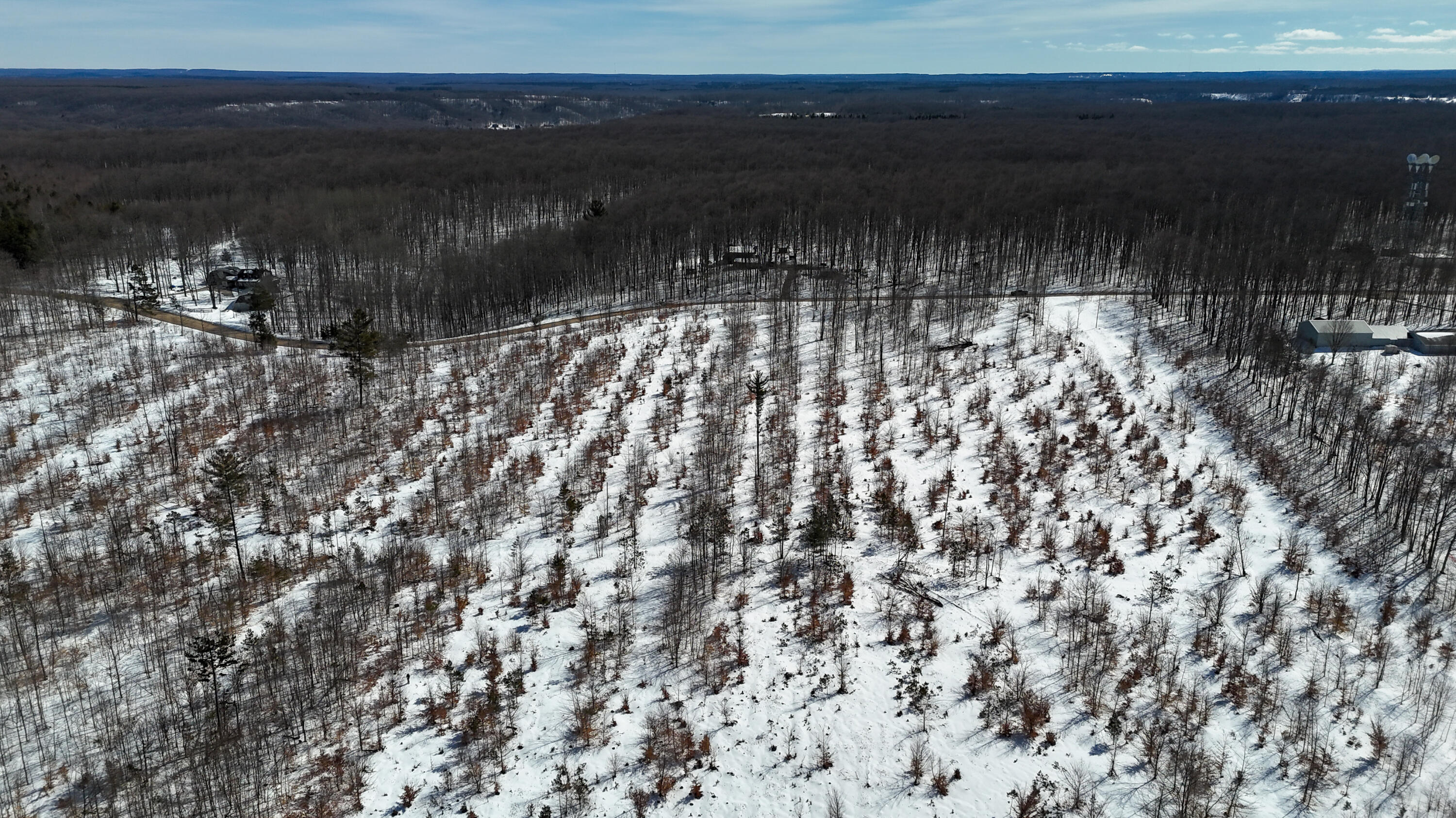 Walker Rd Rapid Northwest Rapid City, MI 49676 - Photo 11 of 15 DJI_20260327120204_0357_D
