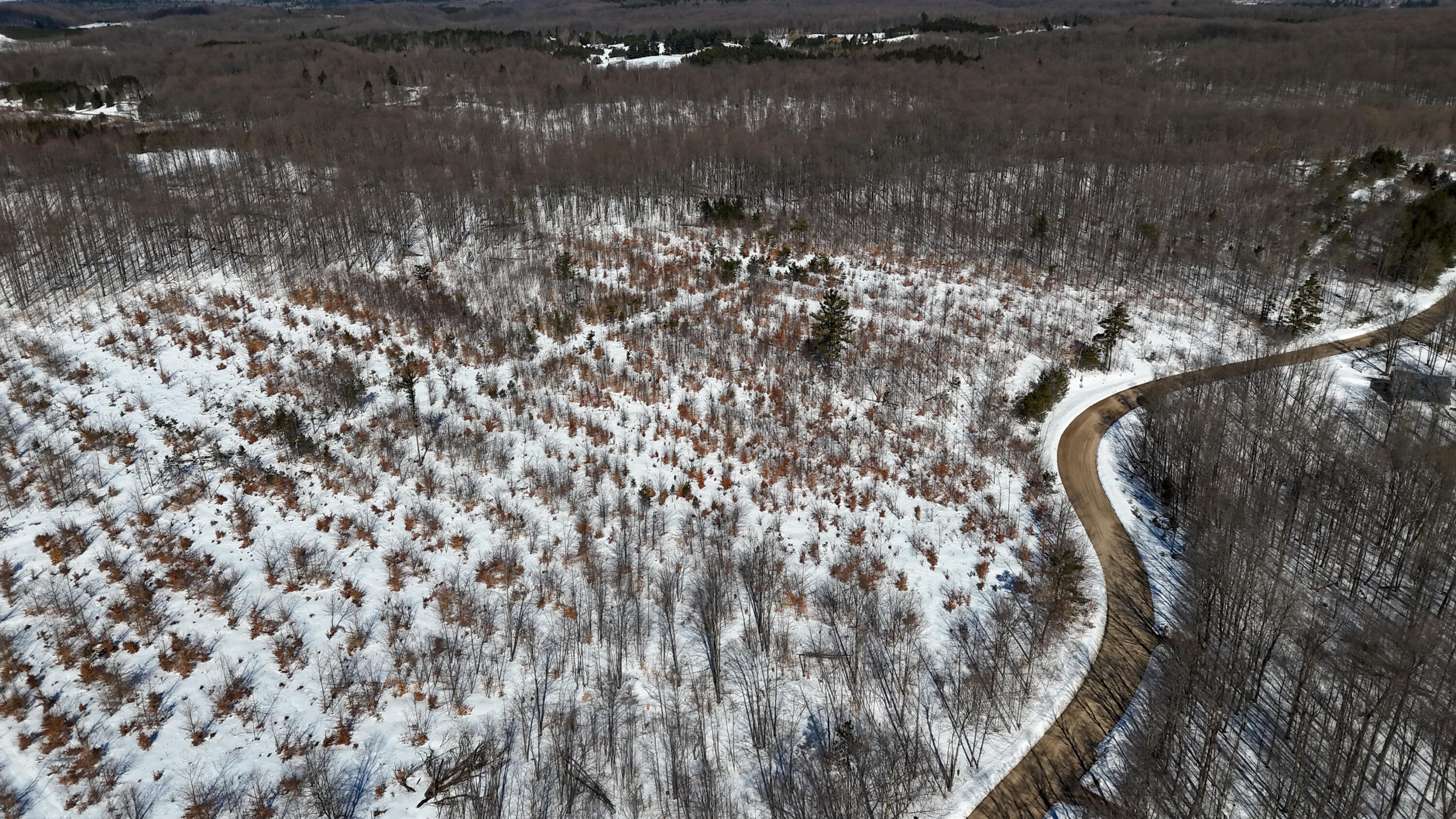 Walker Rd Rapid Northwest Rapid City, MI 49676 - Photo 12 of 15 DJI_20260327113301_0346_D