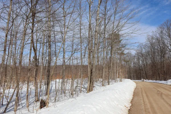 $42,000 | Walker Rd Rapid Northwest, Rapid City, MI 49676