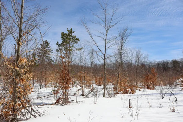 $42,000 | Walker Rd Rapid Northwest, Rapid City, MI 49676