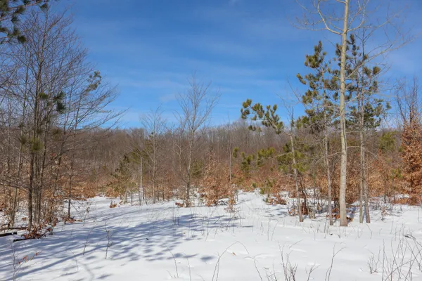 $42,000 | Walker Rd Rapid Northwest, Rapid City, MI 49676