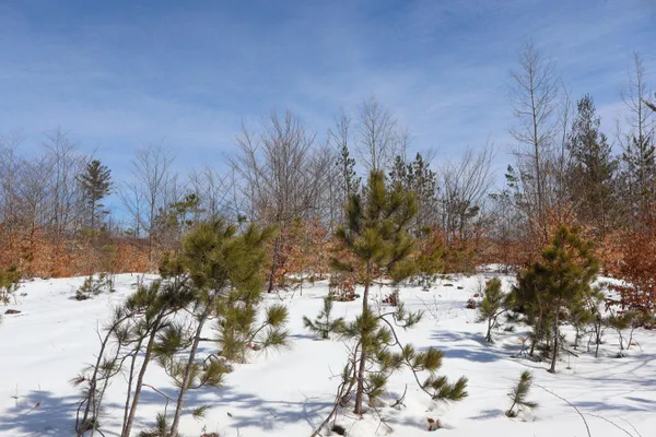 $42,000 | Walker Rd Rapid Northwest, Rapid City, MI 49676