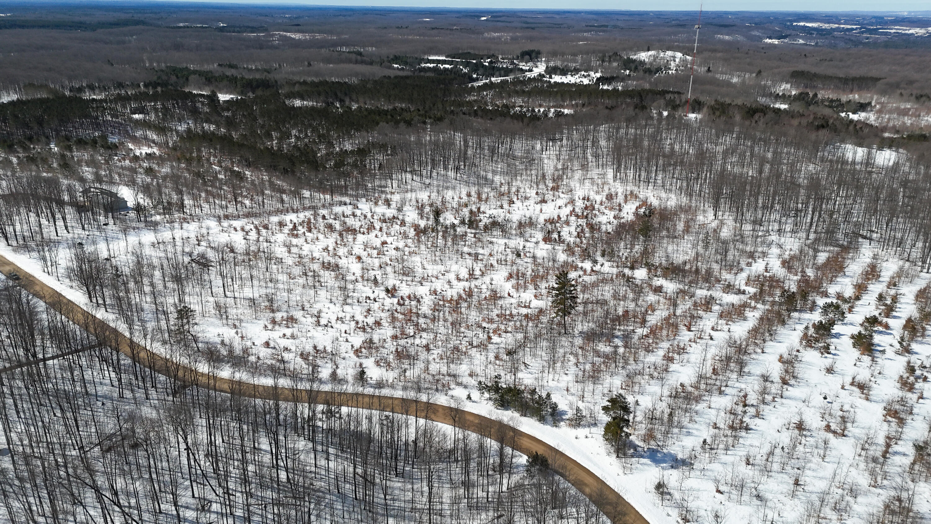 Walker Rd Rapid Northwest Rapid City, MI 49676 - Photo 9 of 15 DJI_20260327122259_0365_D