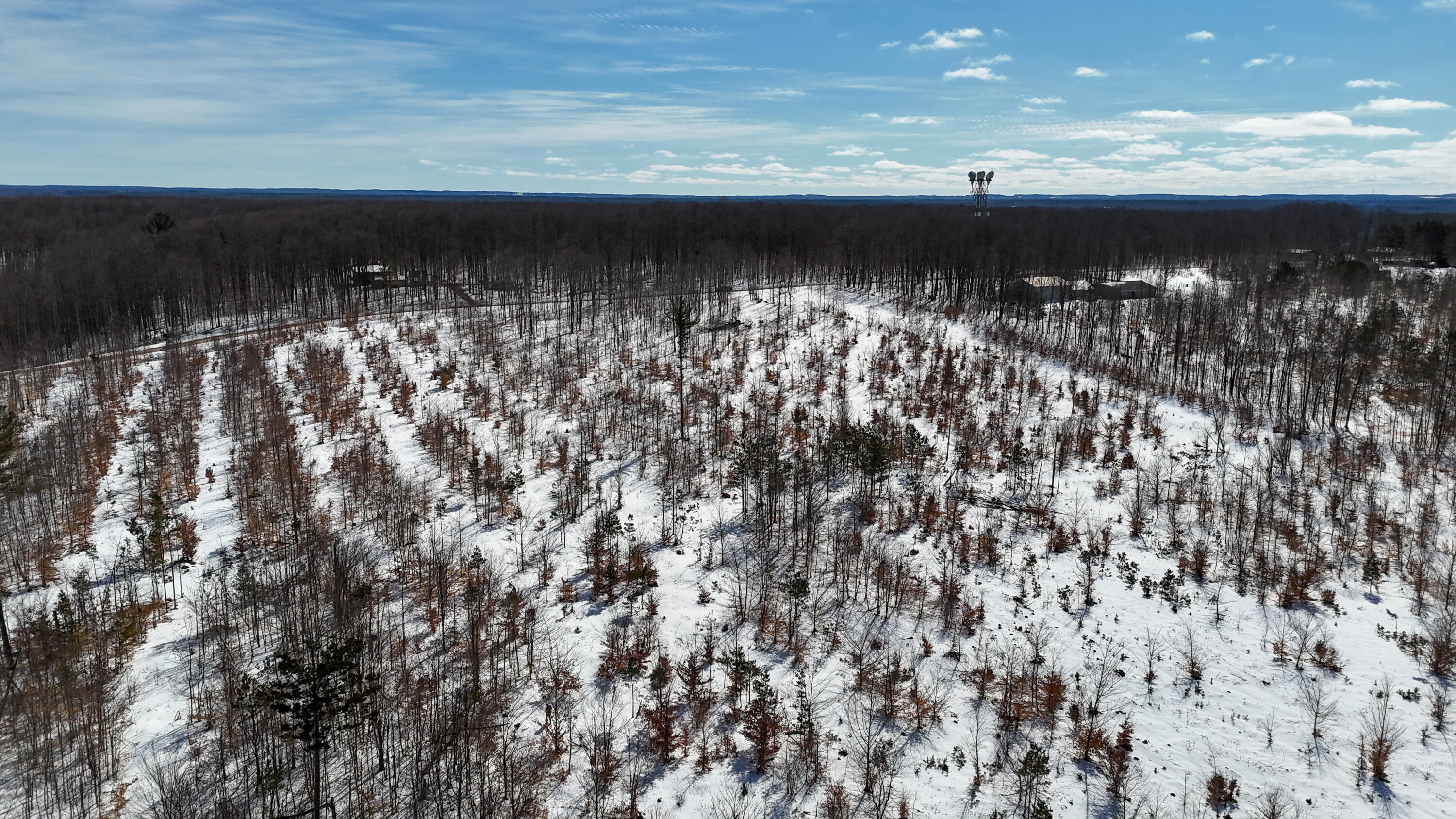 Walker Rd Rapid Northwest Rapid City, MI 49676 - Photo 10 of 15 DJI_20260327115858_0354_D