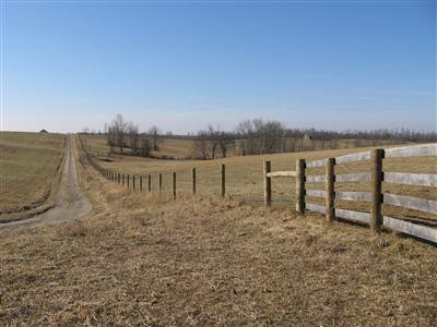 6032 Moorefield Road Carlisle, KY 40311 - Photo 8 of 13 more frontage along Durham Road, new fen