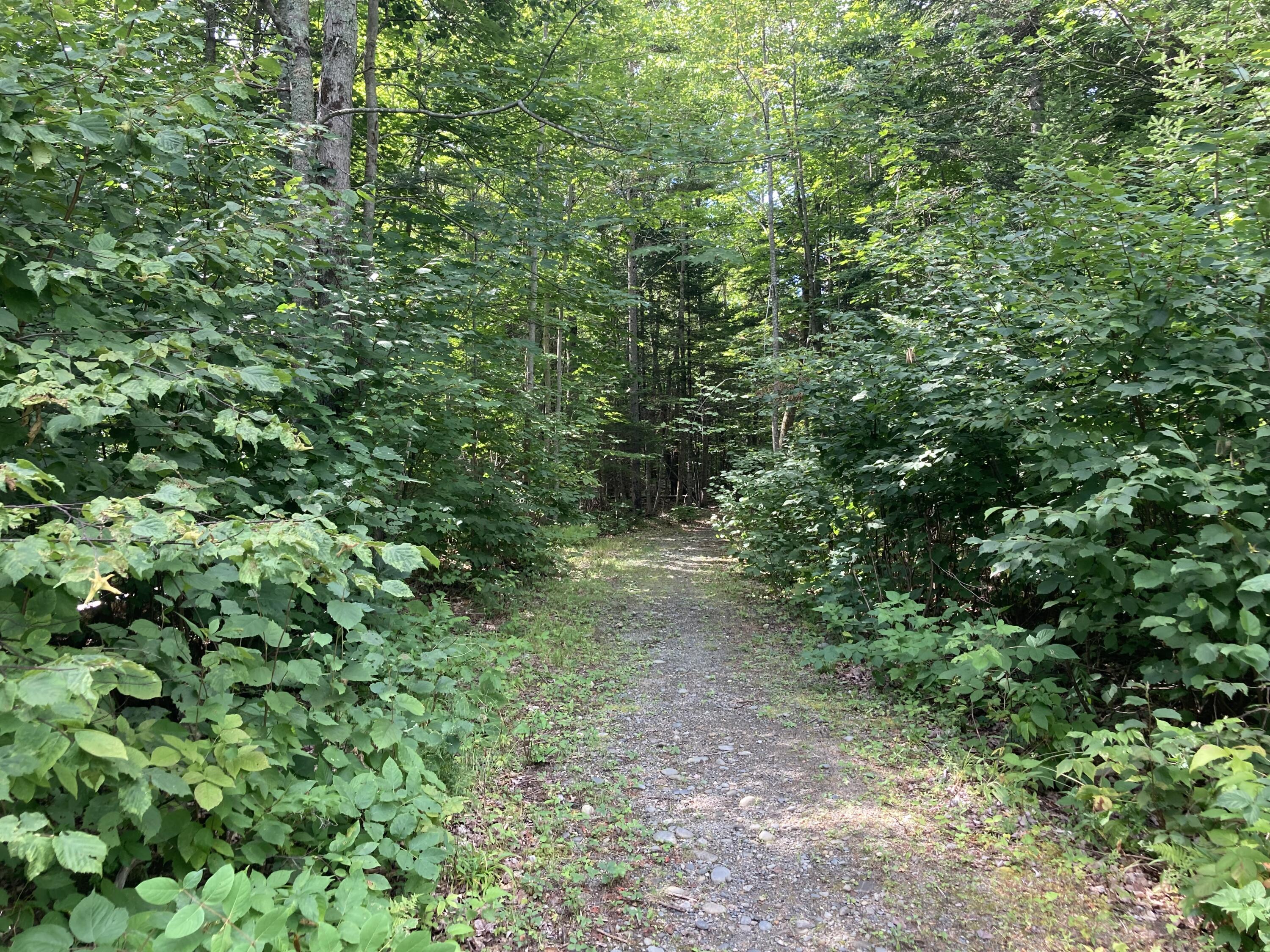 45 Benoak Road Wilton, ME 04294 - Photo 18 of 25 D23550D6-1D12-44D9-905A-313CEF308085