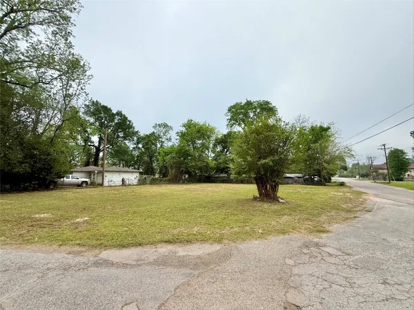 a view of a field with an trees