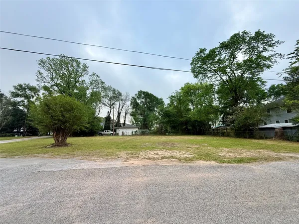 a view of a yard in front of a house