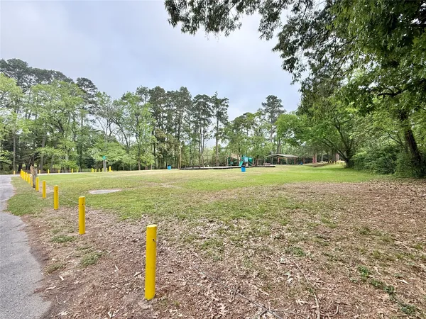 a view of a park with large trees
