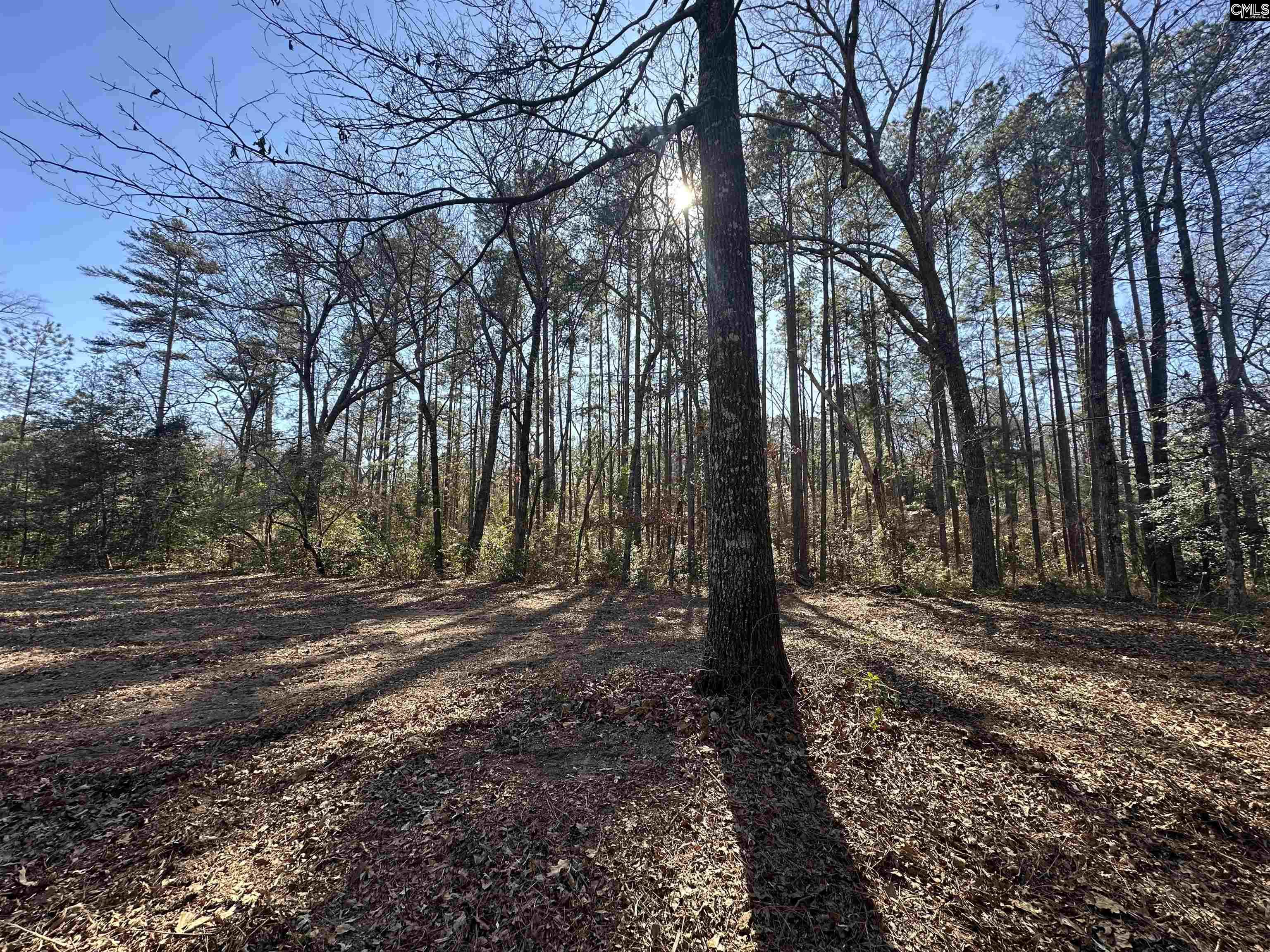 622 Juniper Springs Road Gilbert, SC 29054 - Photo 3 of 10