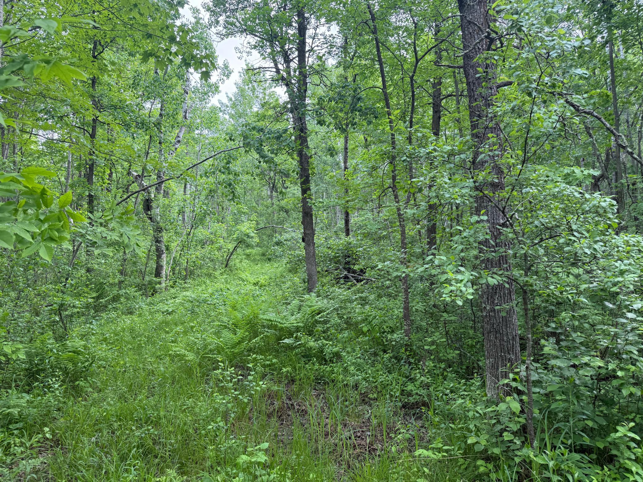 10551 Mallard Road Brook Park, MN 55007 - Photo 18 of 44