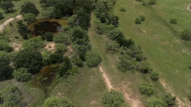 a view of a forest with a house