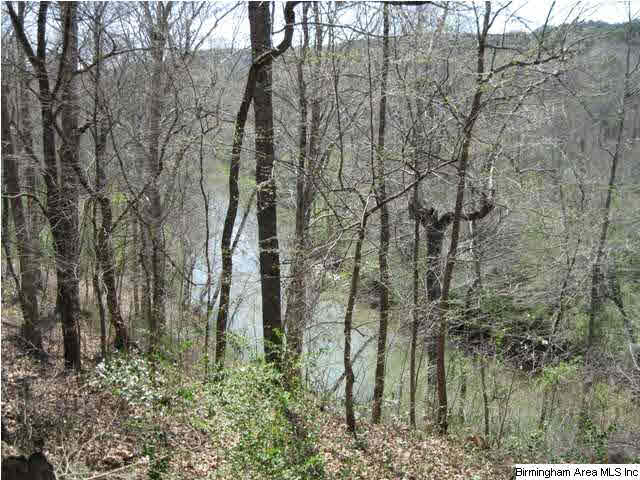 8048 River Bend Road Morris, AL 35116 - Photo 3 of 9
