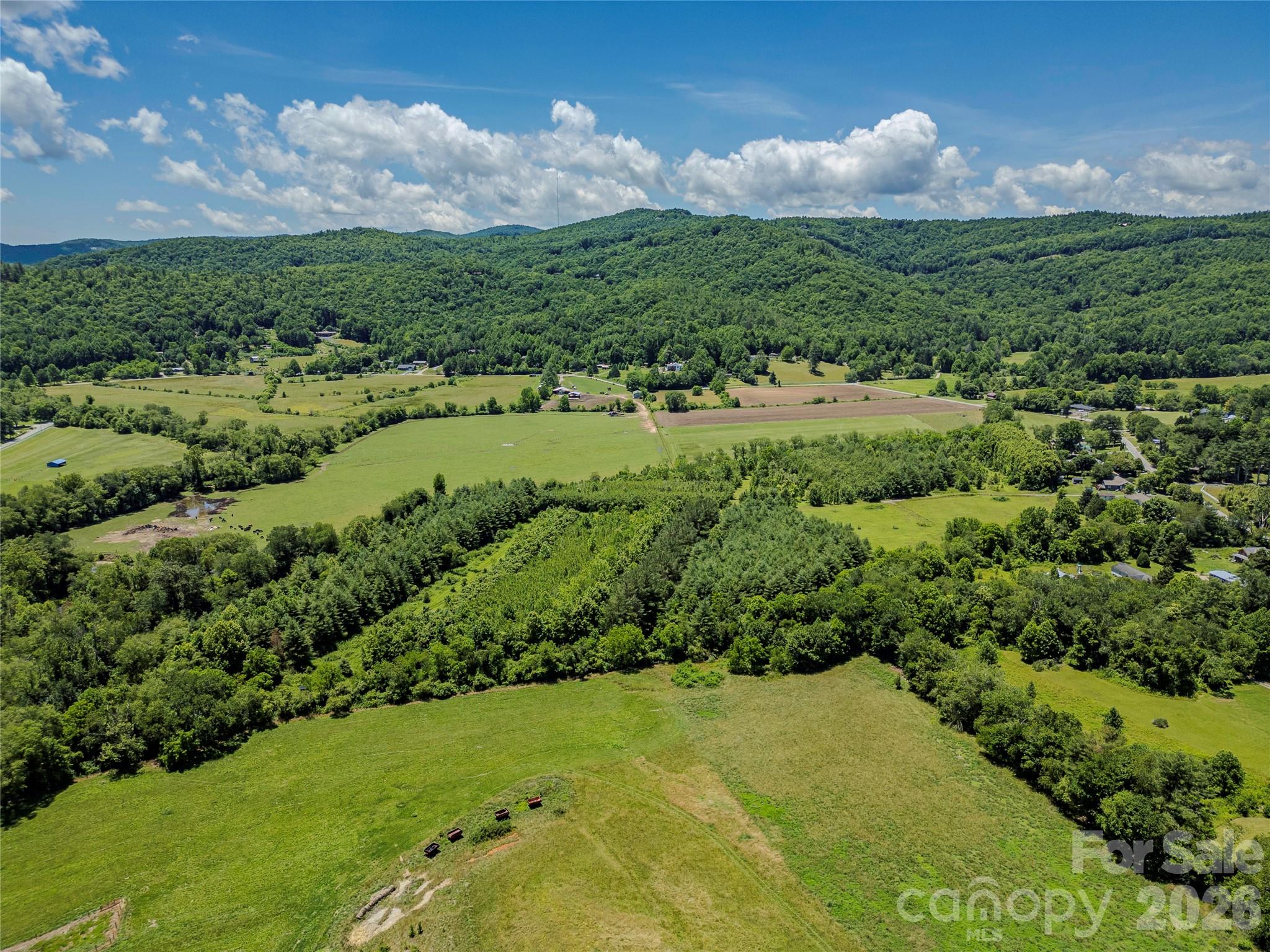Tbd Canebrake Road Pisgah Forest, NC 28768 - Photo 32 of 43