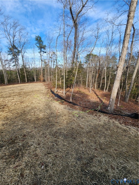 339 Midway Lane Aylett, VA 23009 - Photo 11 of 31 ACTUAL PROPERTY 12.18.25