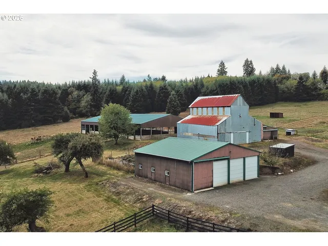 a view of backyard of house