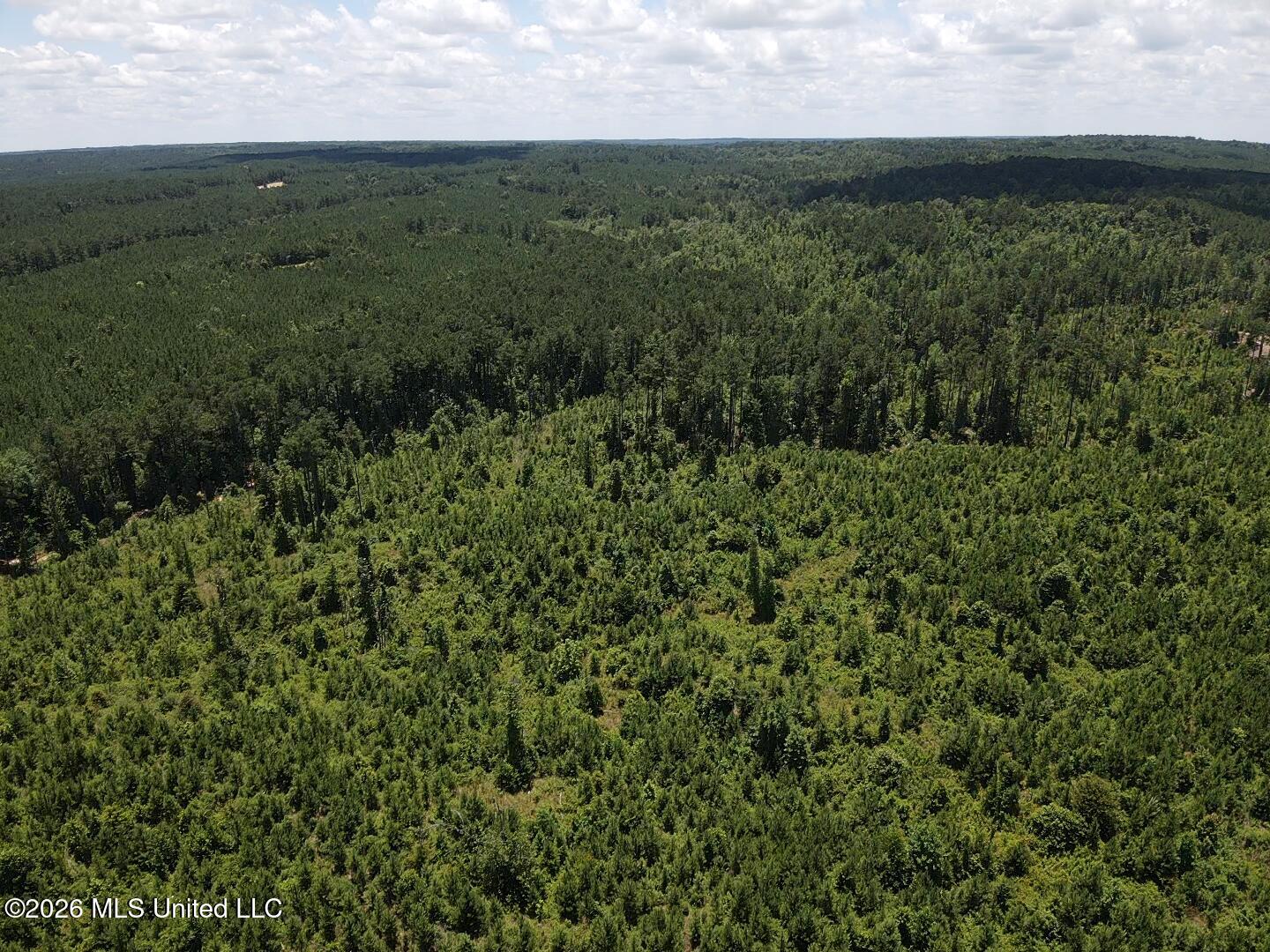 Stump Road Crosby, MS 39633 - Photo 15 of 60 2026-06-09-12-57-51-718
