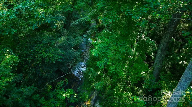 a view of a garden with large trees