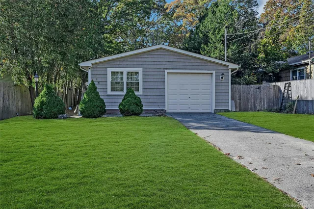 a view of a yard in front of a house with plants and large tree