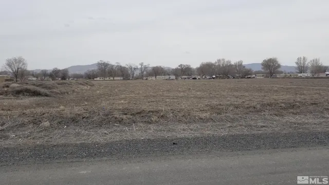 a view of a dry field with trees in background