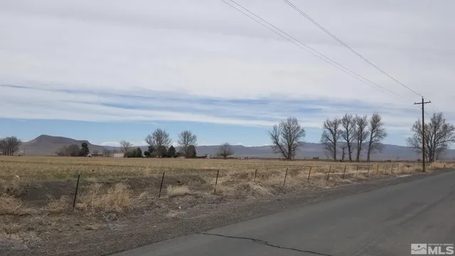a view of dirt field with trees