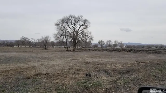 a view of a field with trees in background