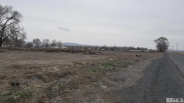 a view of dirt field and trees