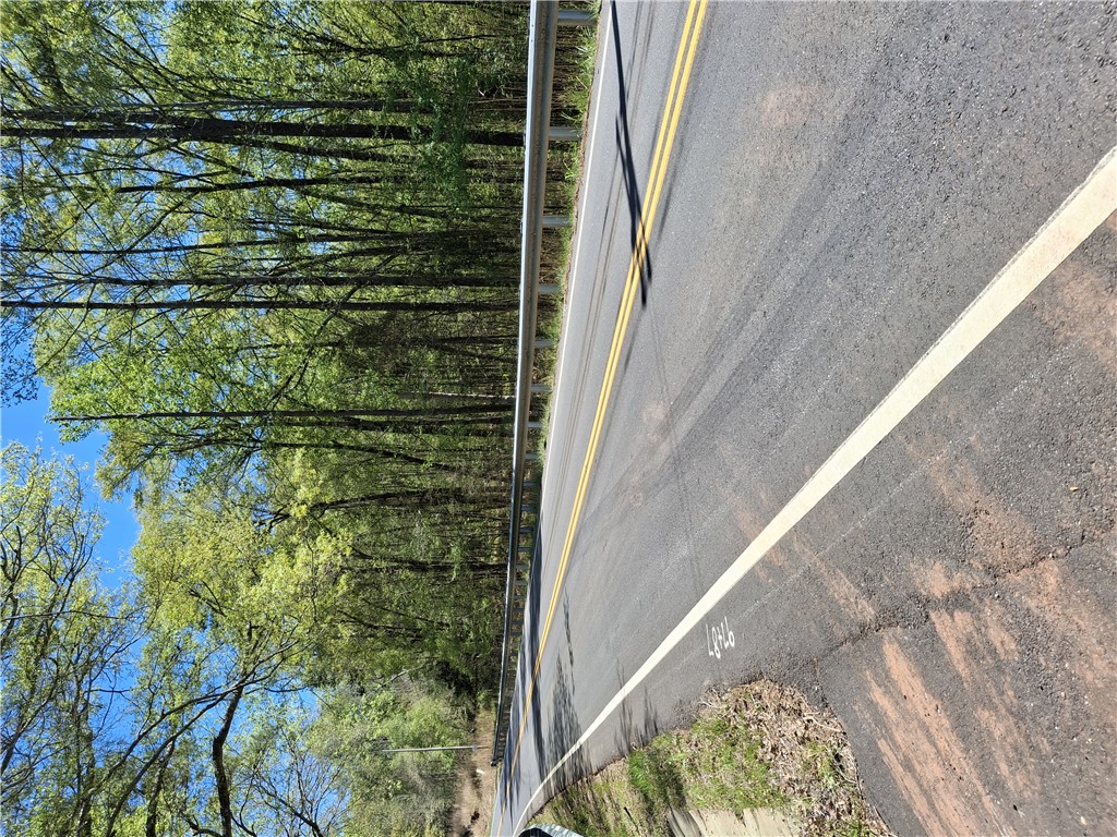 16077 South Radio Station Road Seneca, SC 29678 - Photo 1 of 9 Scenic road surrounded by lush trees under a clear blue sky.