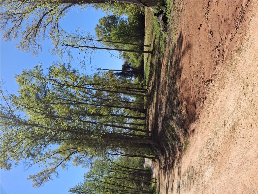 16077 South Radio Station Road Seneca, SC 29678 - Photo 3 of 9 This expansive lot features mature trees and natural terrain, offering a serene backdrop for your vision.