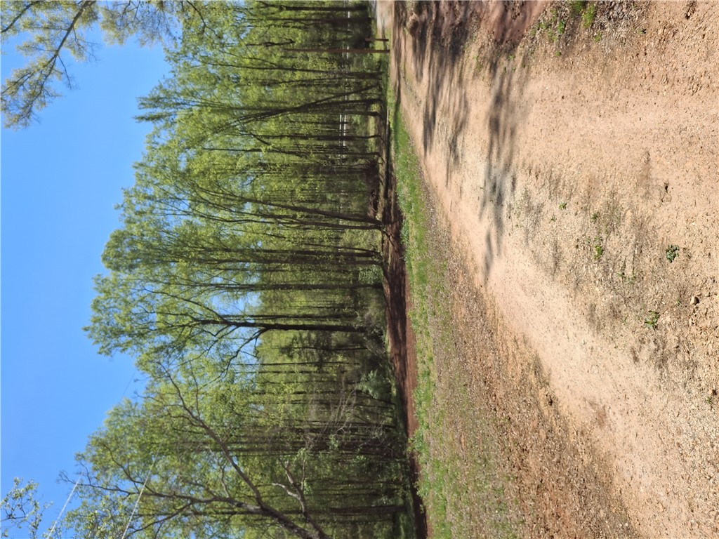 16077 South Radio Station Road Seneca, SC 29678 - Photo 4 of 9 A rustic path meanders alongside a lush tree line, offering natural serenity and open space.