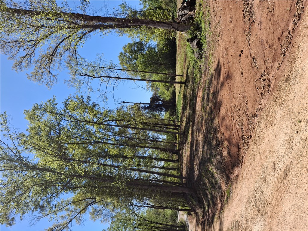 16077 South Radio Station Road Seneca, SC 29678 - Photo 5 of 9 This expansive lot features mature trees and a clear blue sky, perfect for outdoor enjoyment.