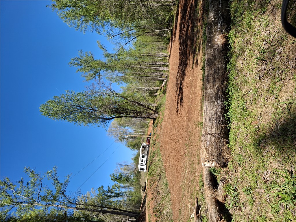 16077 South Radio Station Road Seneca, SC 29678 - Photo 6 of 9 This expansive lot provides ample space, surrounded by lush trees, perfect for outdoor living.