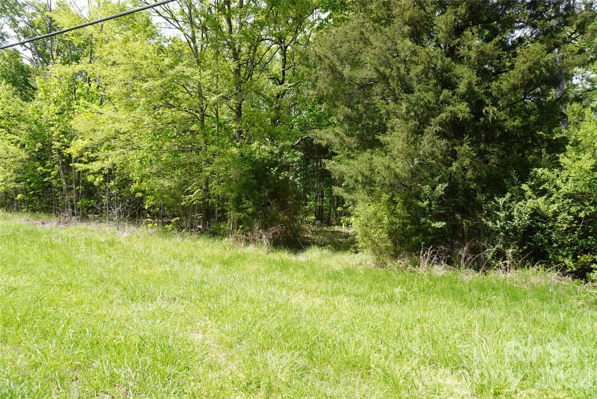 11901 Brief Road Charlotte, NC 28227 - Photo 5 of 9 a view of a garden