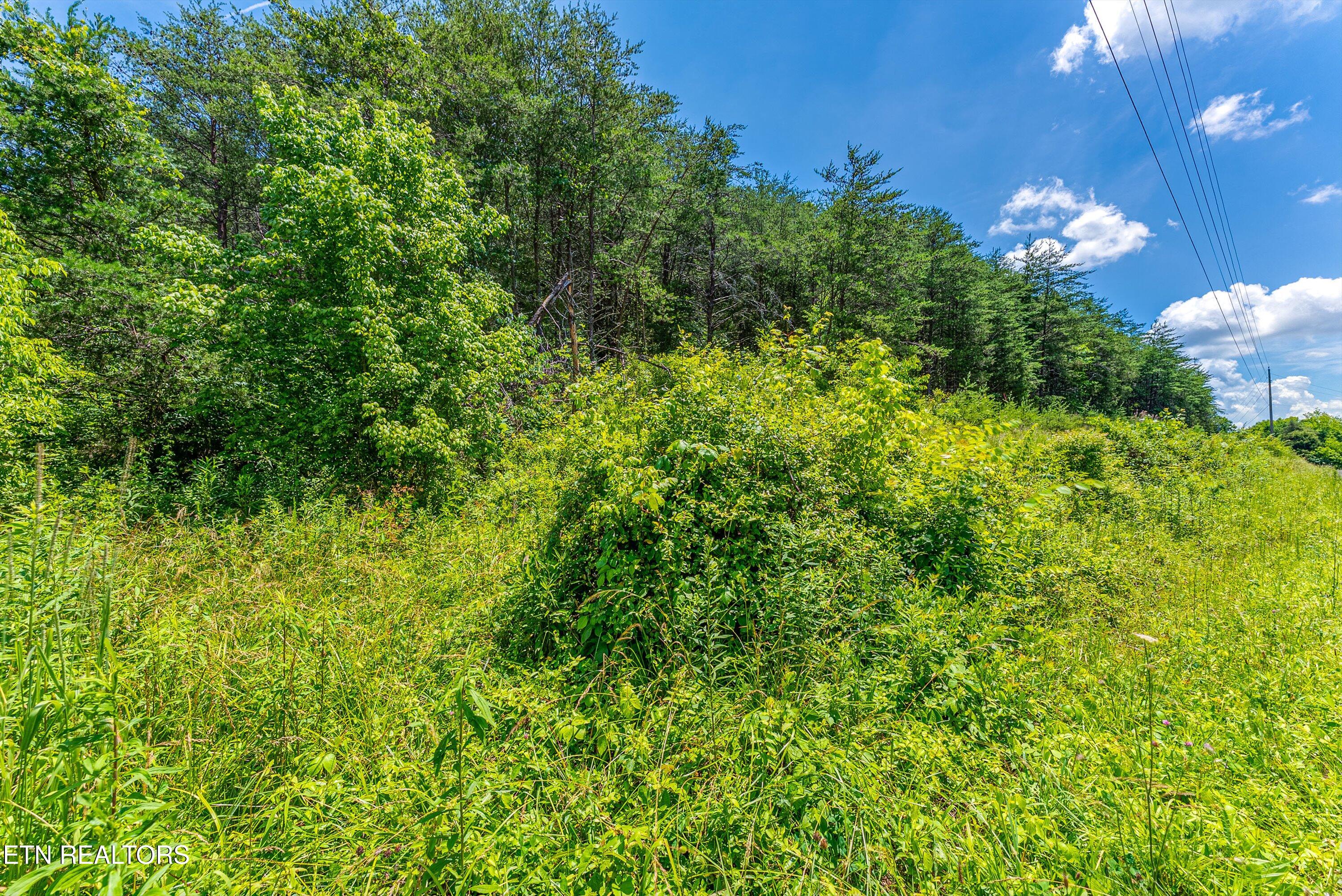 2165 Smelcer Road Parrottsville, TN 37843 - Photo 3 of 18 18-Ground A3
