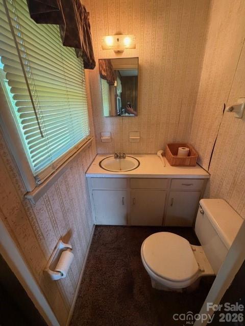 20415 Efird Road Albemarle, NC 28001 - Photo 11 of 16 a bathroom with a sink toilet and mirror