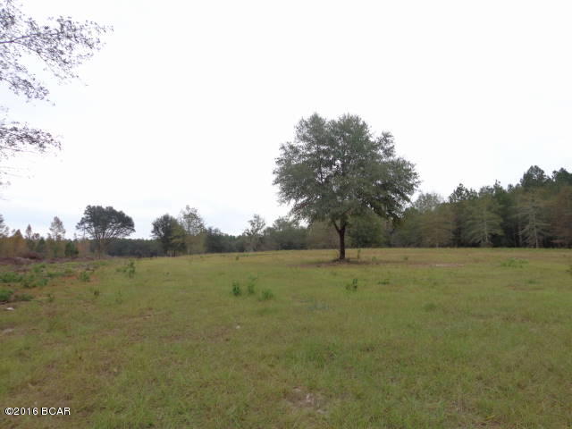 0 Charm Road Alford, FL 32420 - Photo 11 of 32