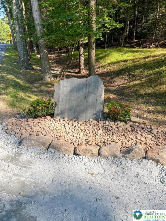 169 Shiny Mountain Road Greentown, PA 18426 - Photo 4 of 54 a view of a yard with large trees