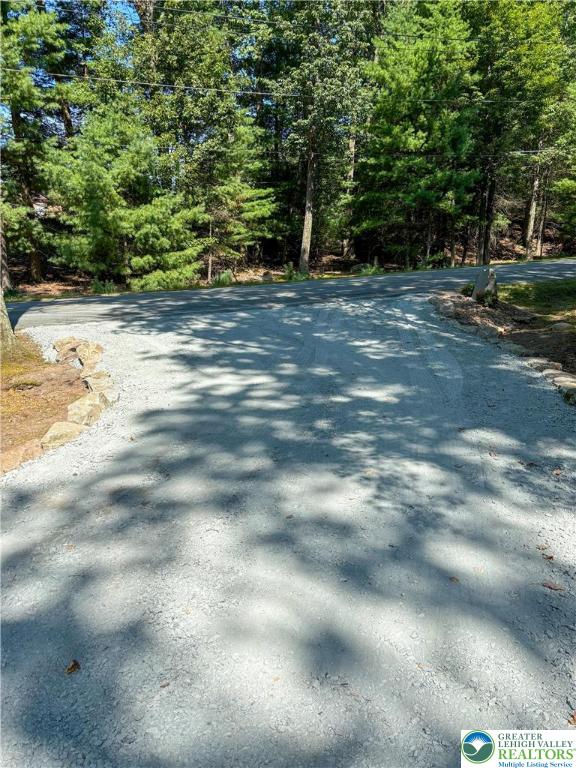 169 Shiny Mountain Road Greentown, PA 18426 - Photo 5 of 54 a view of a yard with a trees