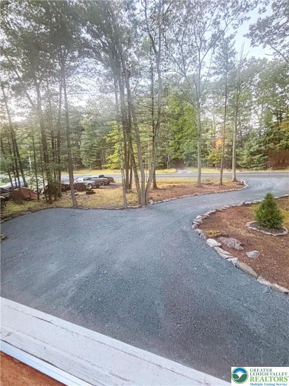 169 Shiny Mountain Road Greentown, PA 18426 - Photo 6 of 54 a view of road with trees