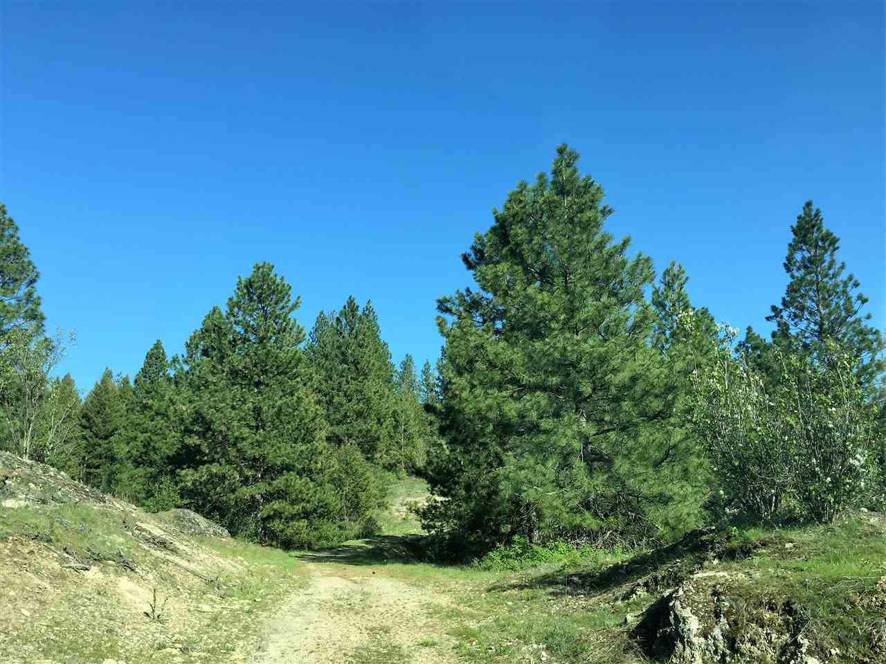 Xx South Chester Creek Road Spokane, WA 99206 - Photo 2 of 20 Gallery Image 2