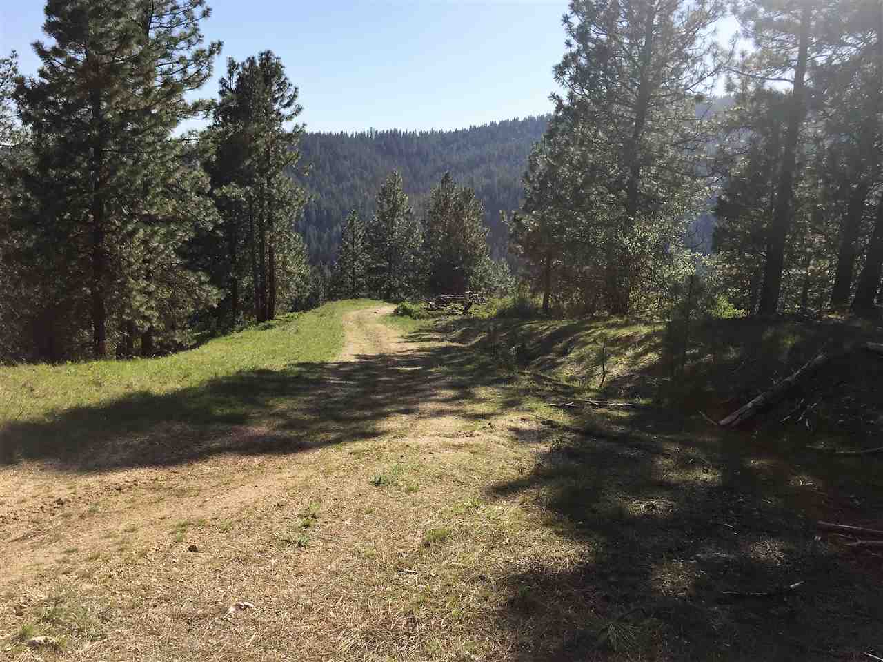 Xx South Chester Creek Road Spokane, WA 99206 - Photo 13 of 20 Gallery Image 13