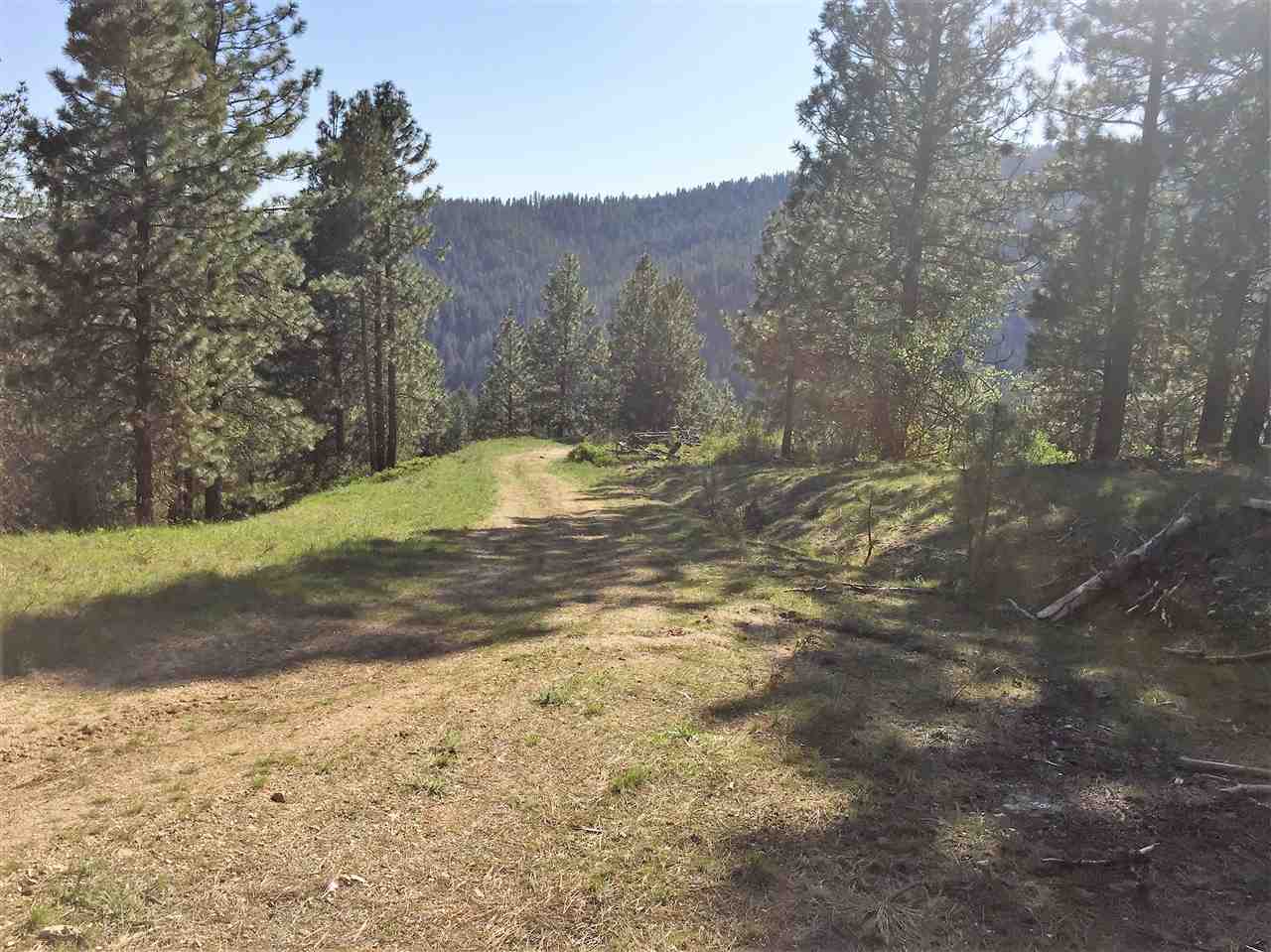 Xx South Chester Creek Road Spokane, WA 99206 - Photo 14 of 20 Gallery Image 14