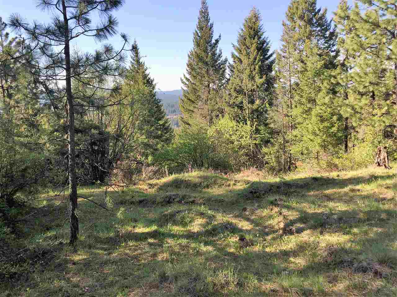 Xx South Chester Creek Road Spokane, WA 99206 - Photo 15 of 20 Gallery Image 15
