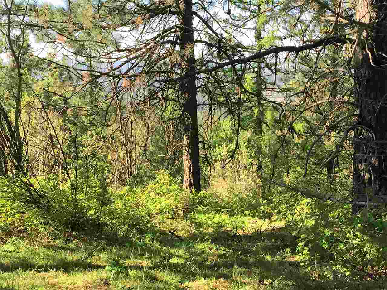 Xx South Chester Creek Road Spokane, WA 99206 - Photo 17 of 20 Gallery Image 17