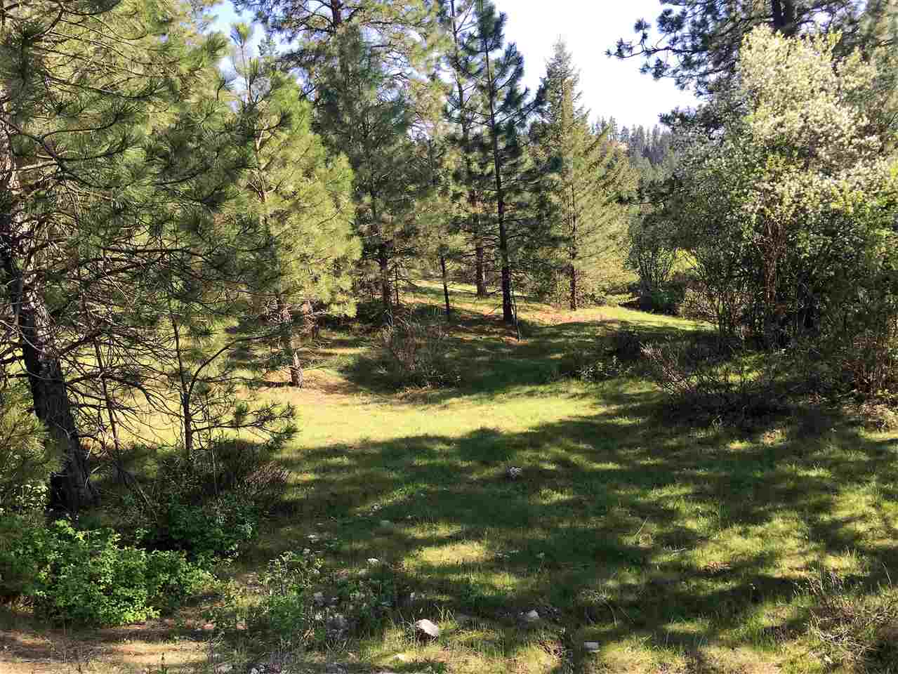 Xx South Chester Creek Road Spokane, WA 99206 - Photo 3 of 20 Gallery Image 3