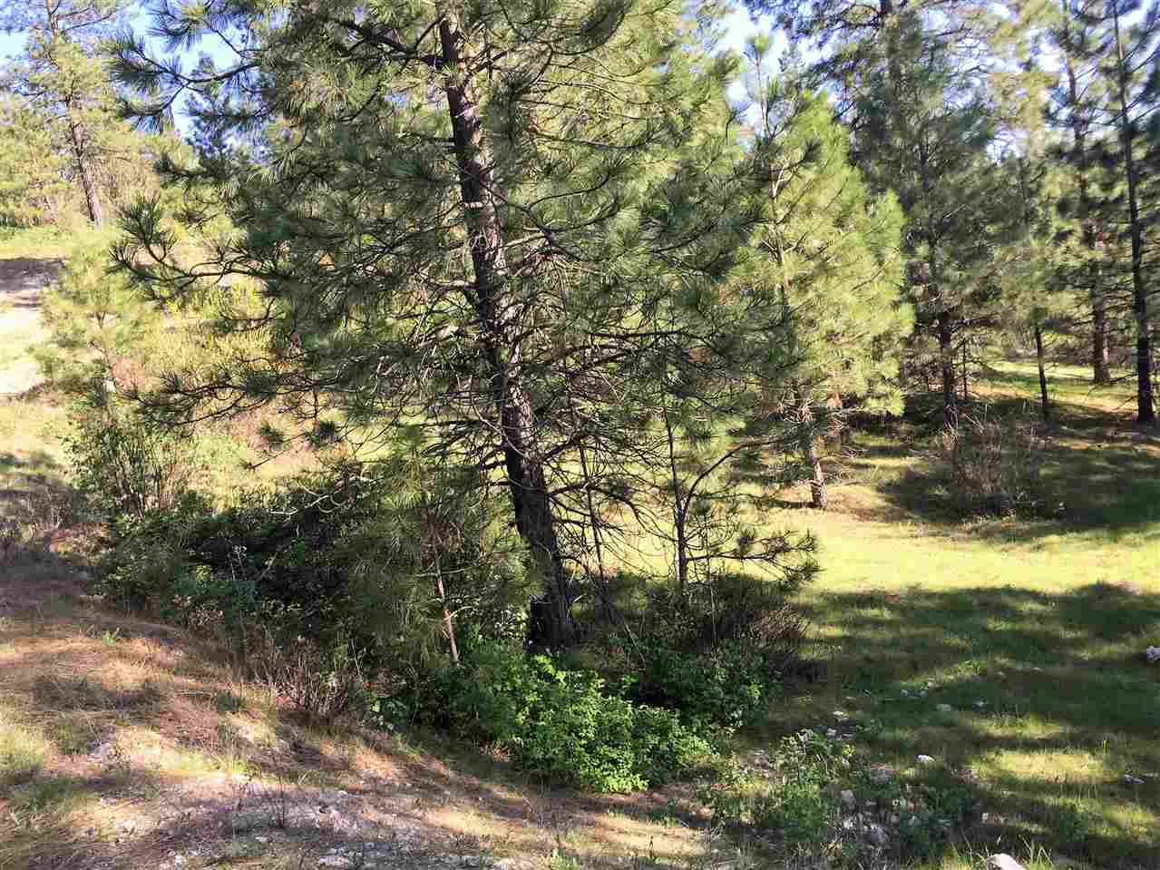 Xx South Chester Creek Road Spokane, WA 99206 - Photo 5 of 20 Gallery Image 5